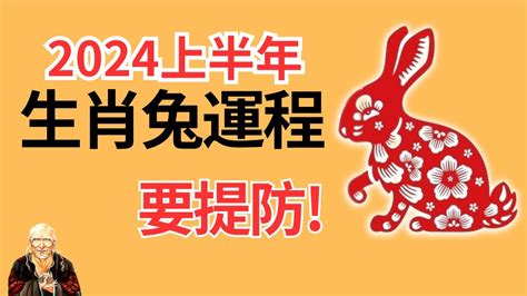 2023兔年運程1987|1987年属兔2023年本命年的运气如何，87年属兔又。